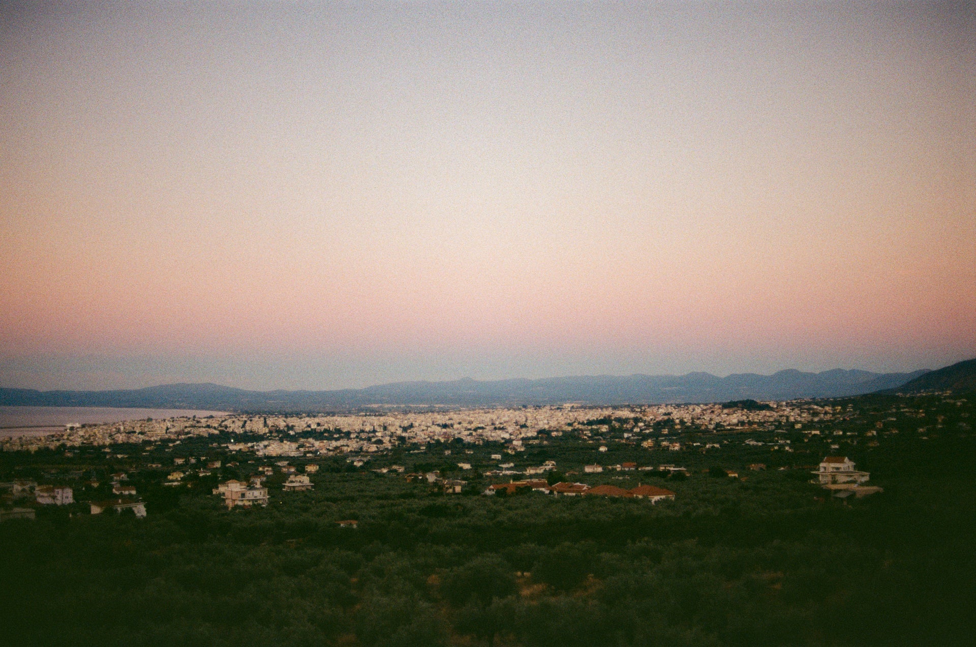 Oliven als Superfood: Was steckt wirklich drin?