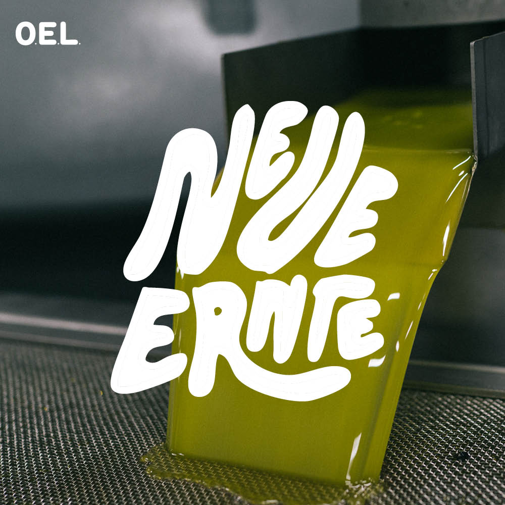 Huile d'olive extra vierge biologique de Grèce naturellement trouble 1 l